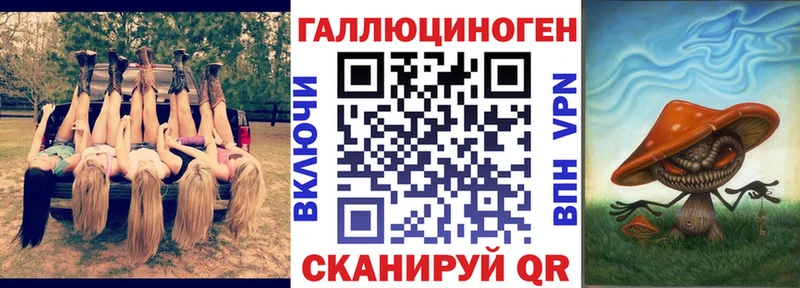Псилоцибиновые грибы Psilocybine cubensis  Терек 
